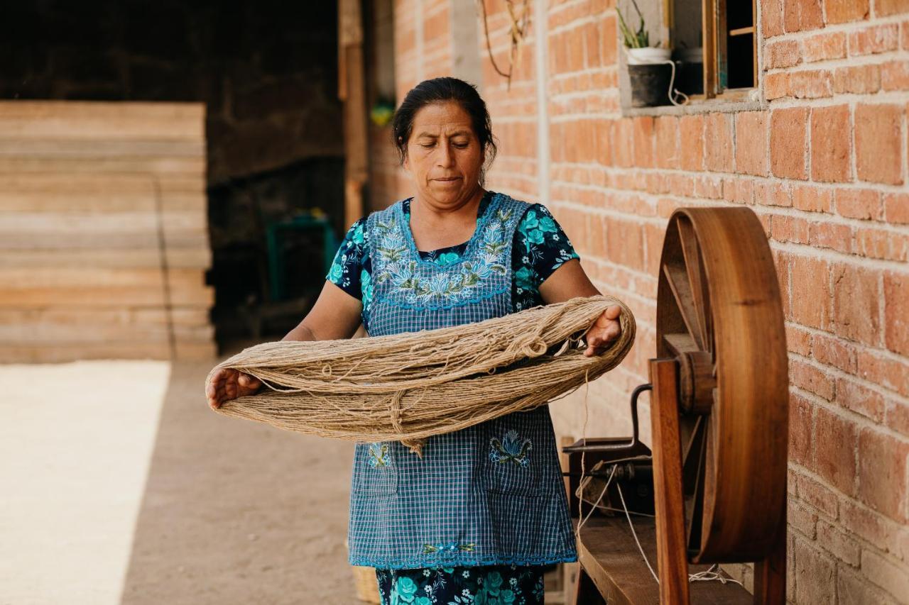 Bed and Breakfast Lizu Tu Casa En Un Pueblo Zapoteca Teotitlán del Valle Exteriér fotografie